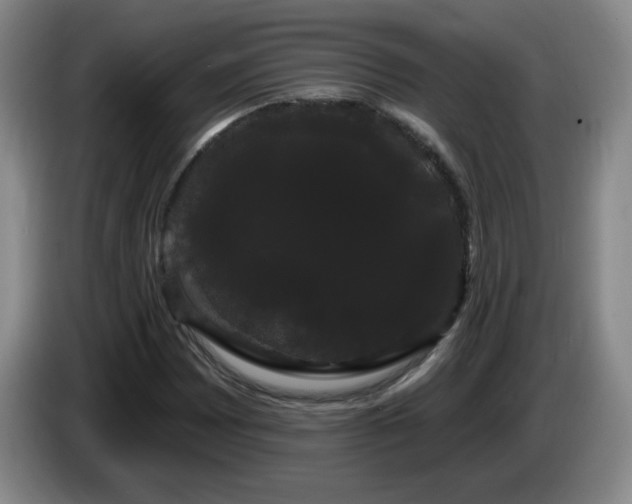X0000085221065200703091155