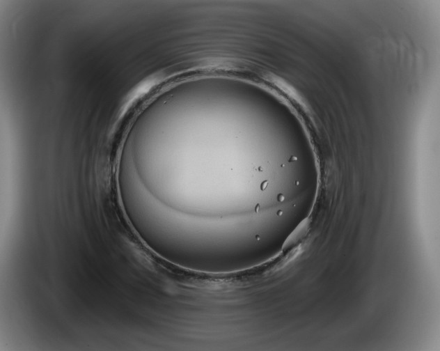 X0000085221067200703091155