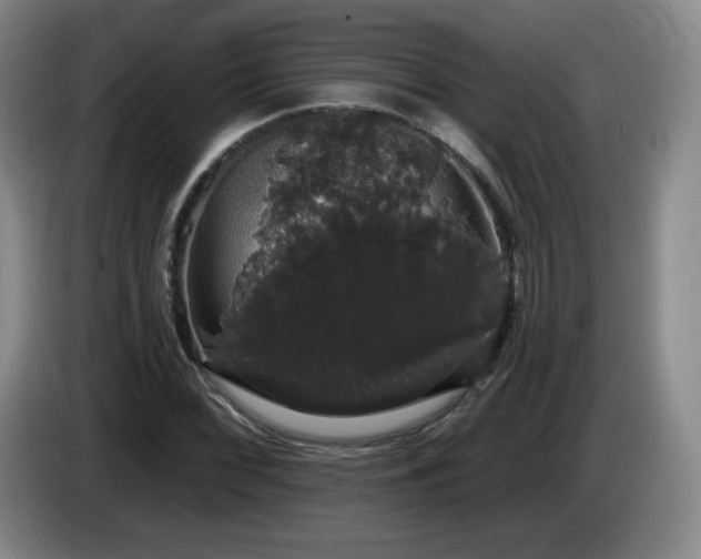 X0000085221068200703091155