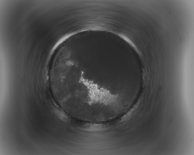 X0000085221070200703091155