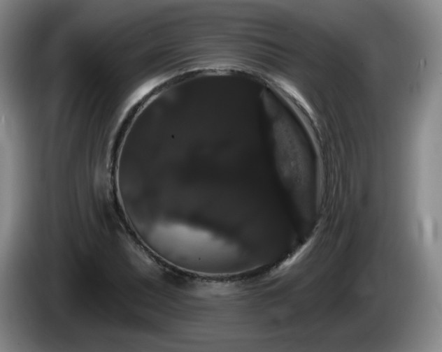 X0000085221071200703091155