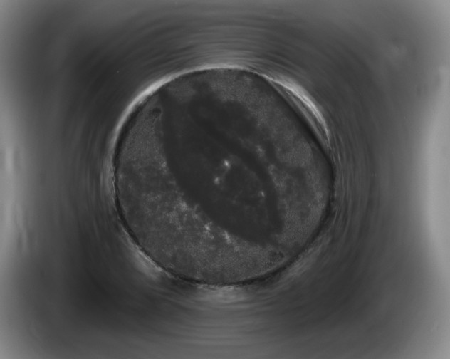 X0000085221072200703091155