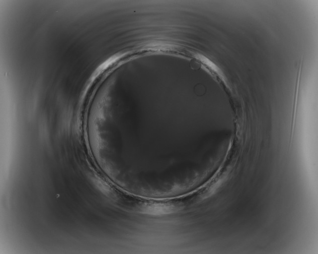 X0000085221074200703091155