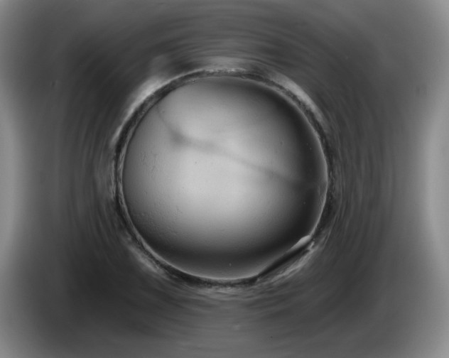X0000085221075200703091155