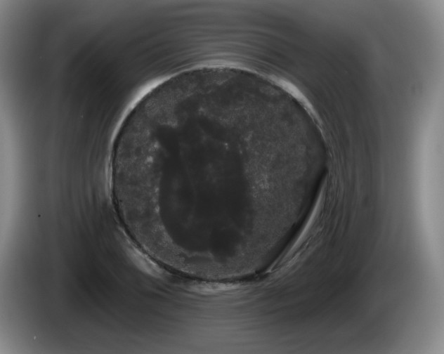 X0000085221076200703091155