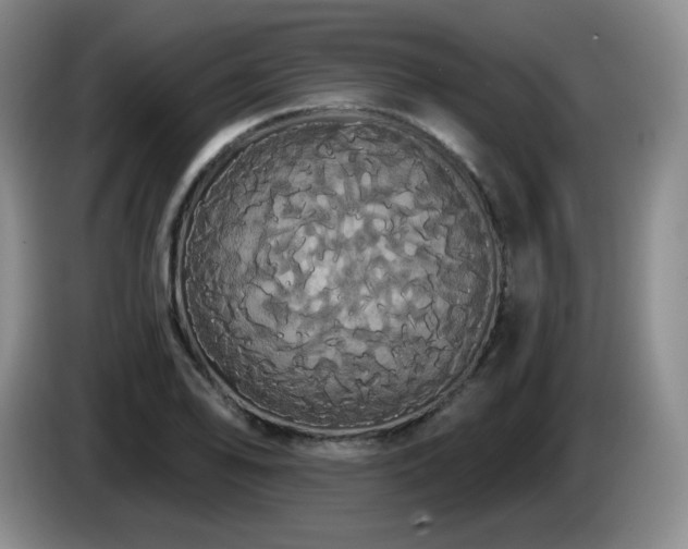 X0000085221078200703091155