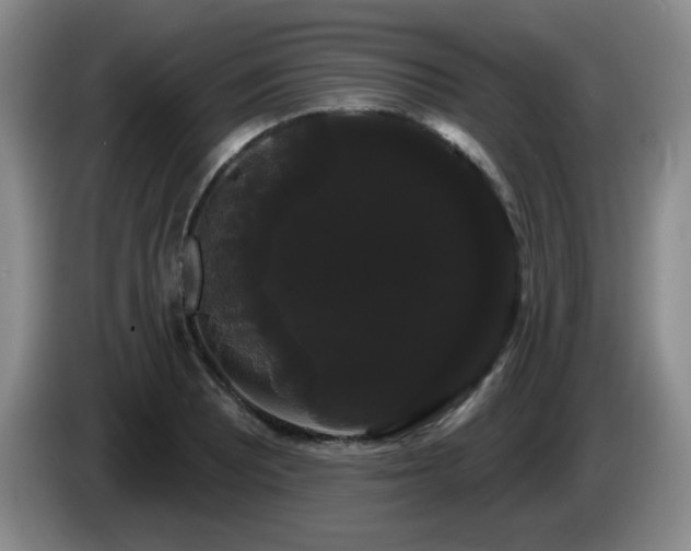 X0000085221081200703091155