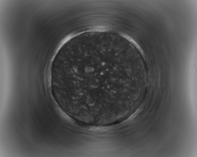 X0000085221083200703091155