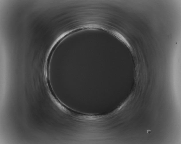 X0000085221084200703091155