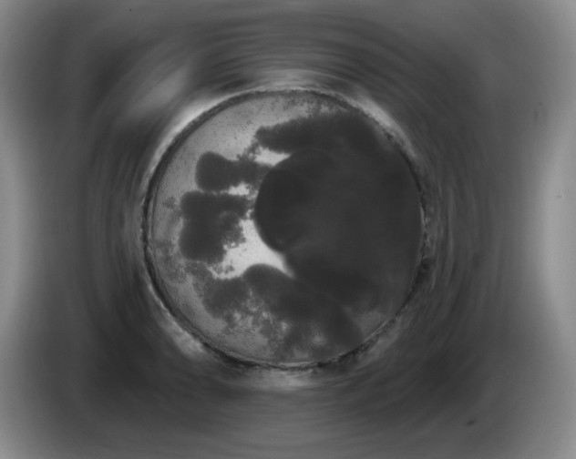 X0000085221086200703091154