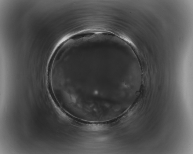 X0000085221087200703091154