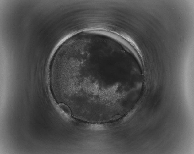X0000085221088200703091154