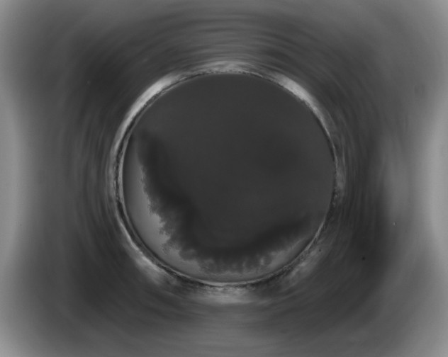 X0000085221090200703091154