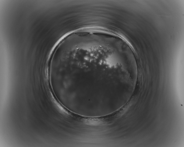 X0000085221092200703091154
