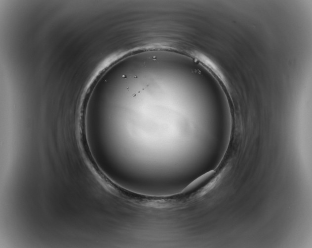 X0000085221093200703091154