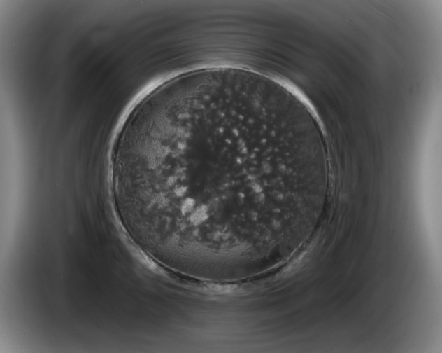 X0000085221096200703091154