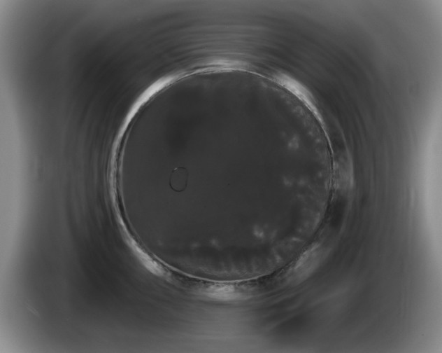 X0000085221098200703091154