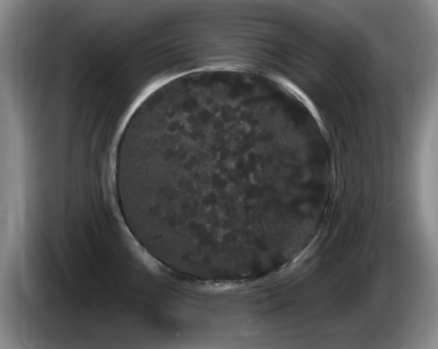 X0000085221099200703091154