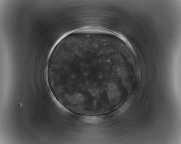 X0000085221100200703091154