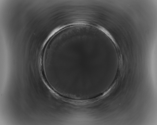 X0000085221101200703091154