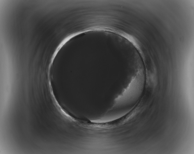 X0000085221102200703091154
