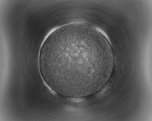 X0000085221103200703091154