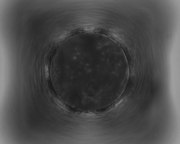 X0000085221106200703091154