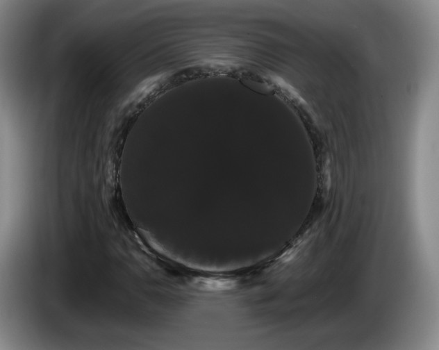 X0000085221110200703091154