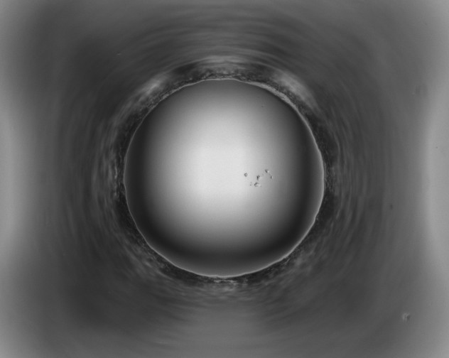 X0000085221111200703091154