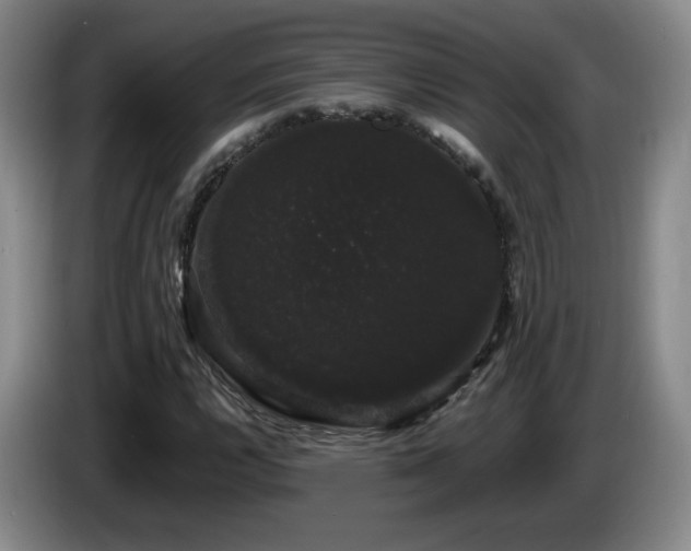 X0000085221112200703091154