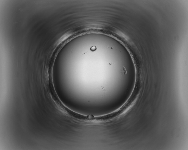 X0000085221113200703091154