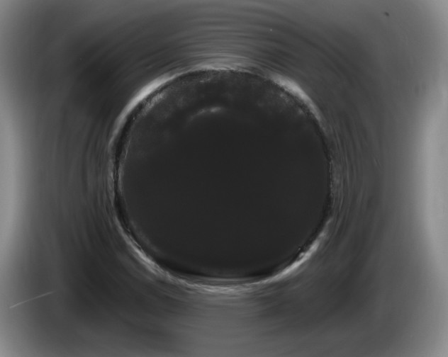 X0000085221114200703091154