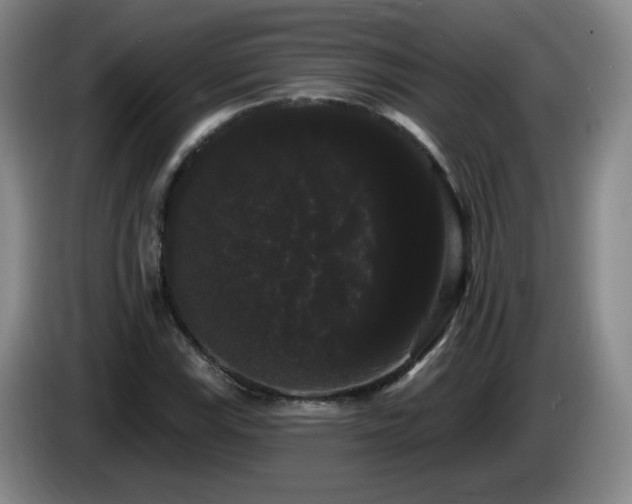 X0000085221115200703091154