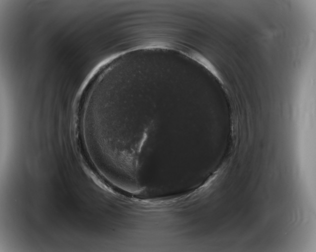 X0000085221116200703091154