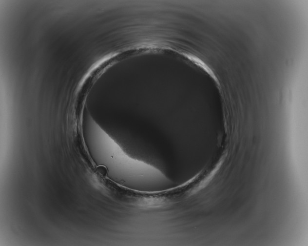 X0000085221117200703091154