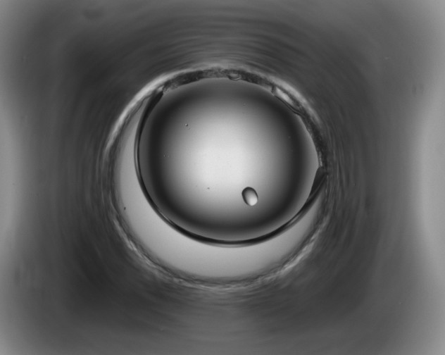 X0000085221118200703091154
