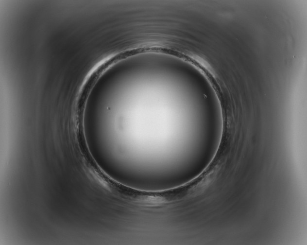 X0000085221119200703091154