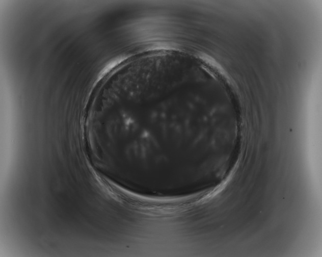 X0000085221121200703091154