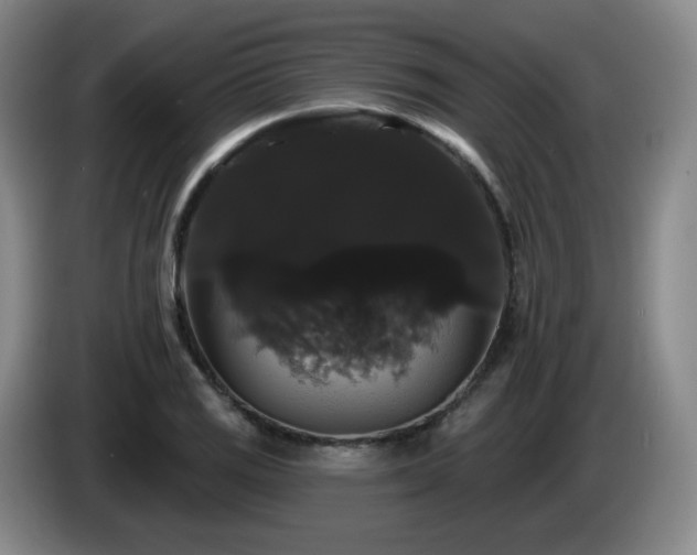 X0000085221125200703091154
