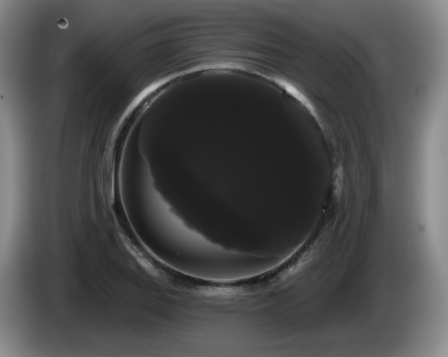X0000085221127200703091154