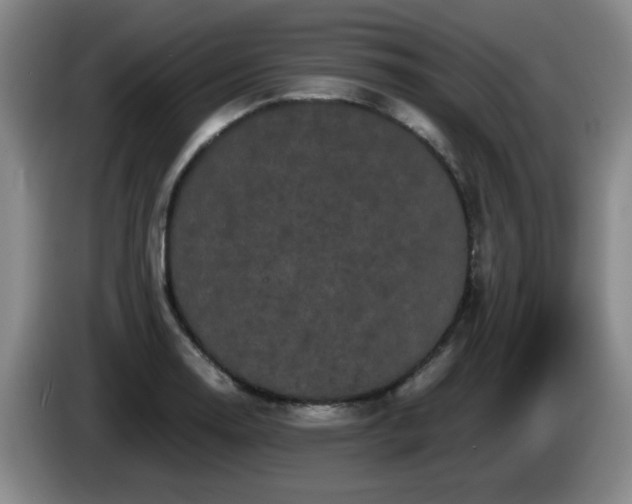 X0000085221130200703091154