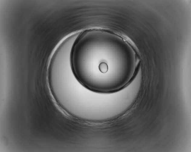 X0000085221132200703091154