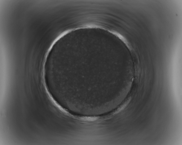 X0000085221134200703091154