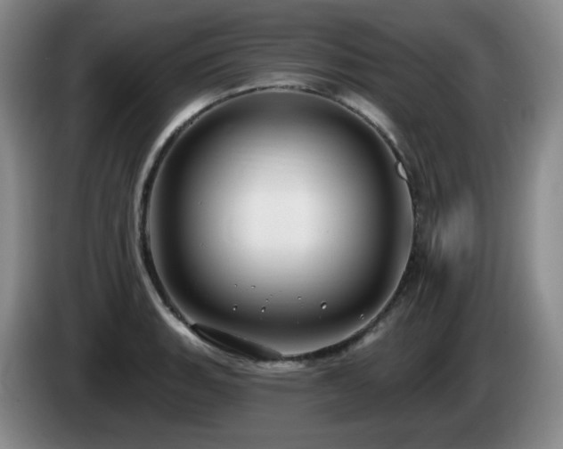 X0000085221135200703091154
