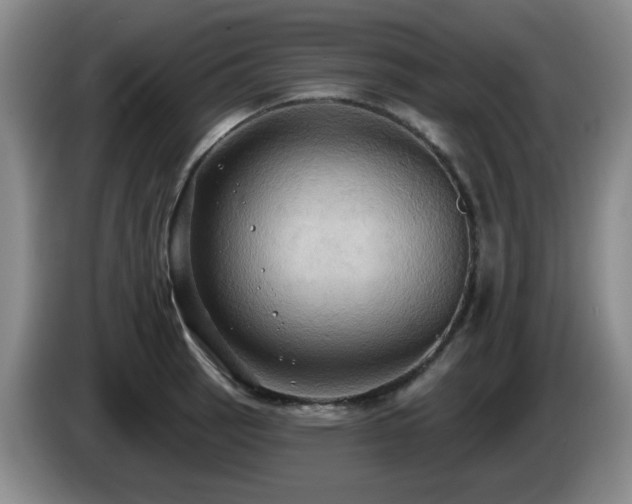 X0000085221137200703091154
