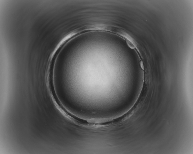 X0000085221139200703091154