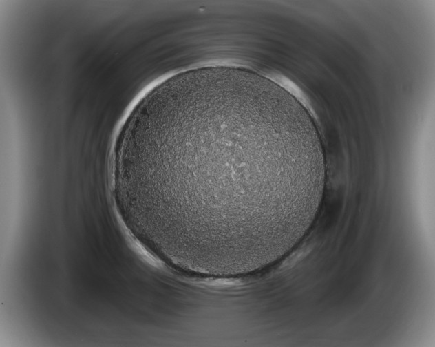 X0000085221140200703091154