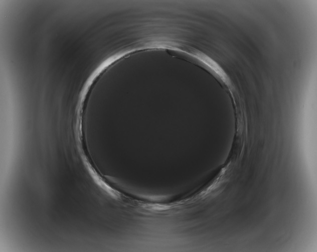 X0000085221144200703091154