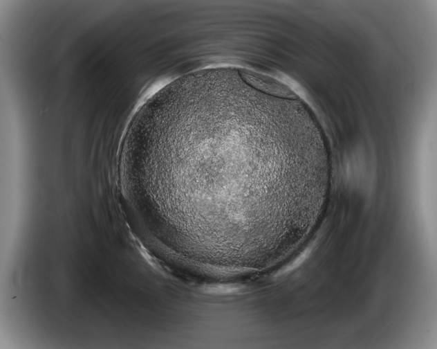 X0000085221145200703091154