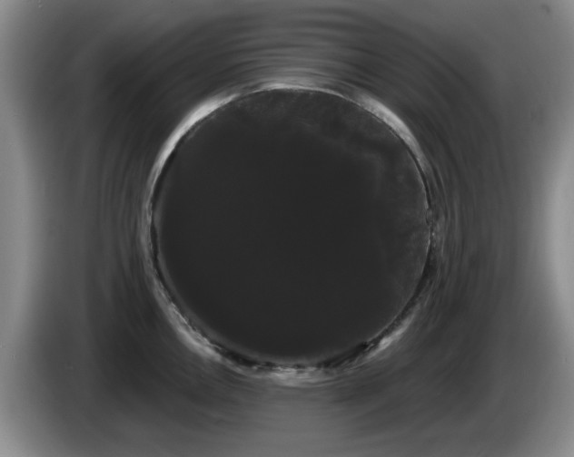 X0000085221146200703091154